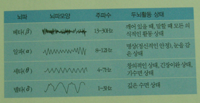 사람의 뇌파. 